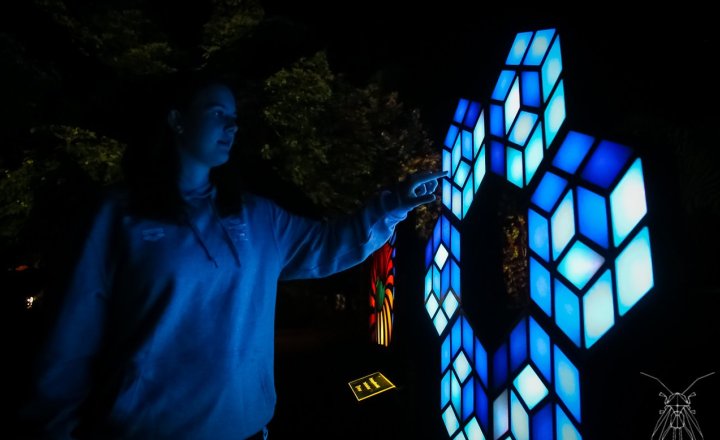 Zsolnay Light Festival 2022